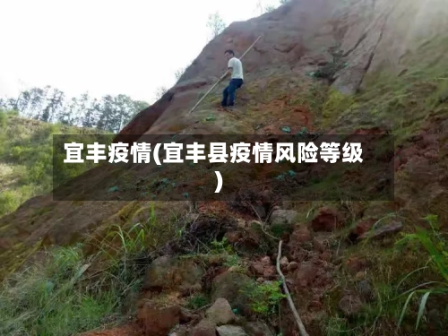 宜丰疫情(宜丰县疫情风险等级)-第2张图片