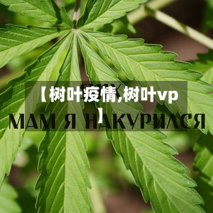 【树叶疫情,树叶vp】