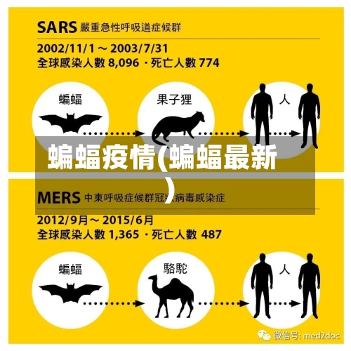蝙蝠疫情(蝙蝠最新)