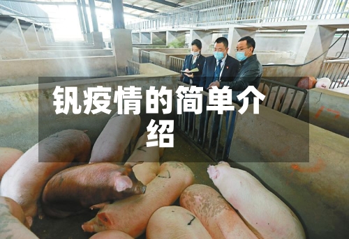 钒疫情的简单介绍