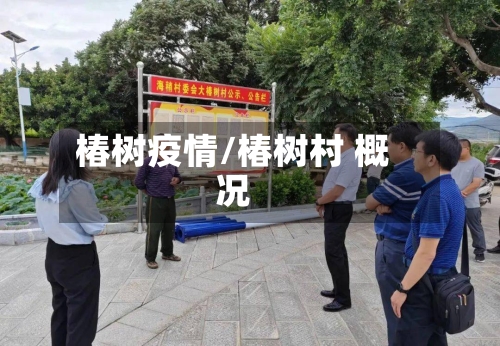 椿树疫情/椿树村 概况