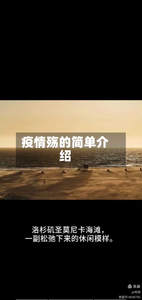 疫情殇的简单介绍