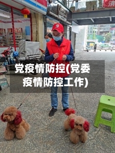 党疫情防控(党委疫情防控工作)-第2张图片