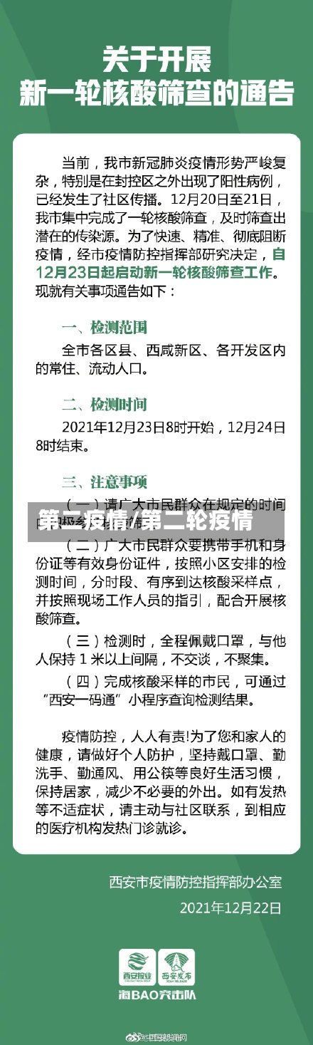 第二疫情/第二轮疫情