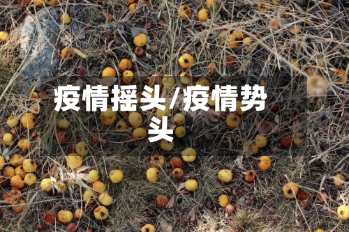 疫情摇头/疫情势头
