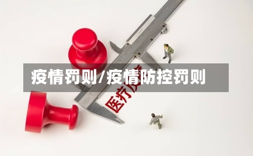 疫情罚则/疫情防控罚则-第2张图片