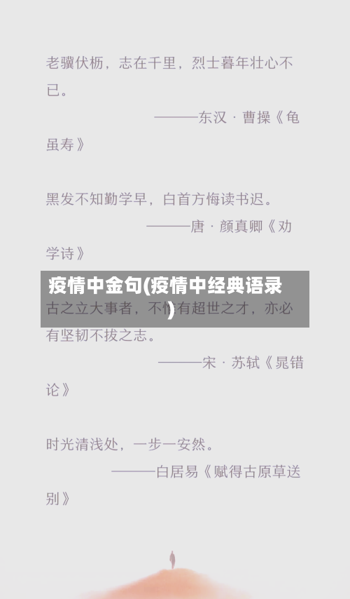 疫情中金句(疫情中经典语录)