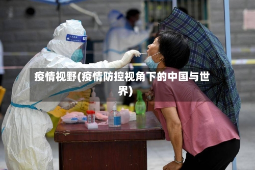 疫情视野(疫情防控视角下的中国与世界)