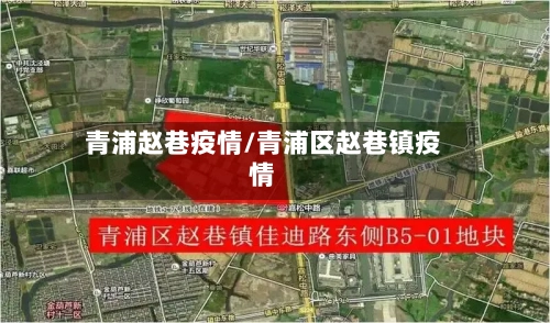 青浦赵巷疫情/青浦区赵巷镇疫情-第2张图片