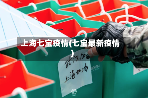上海七宝疫情(七宝最新疫情)-第2张图片