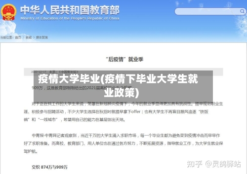 疫情大学毕业(疫情下毕业大学生就业政策)