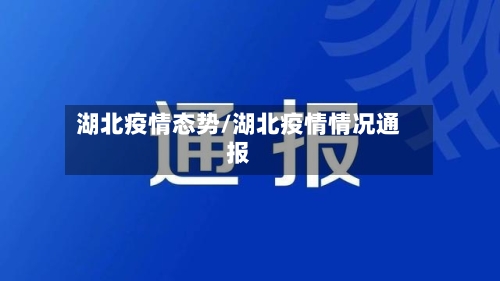 湖北疫情态势/湖北疫情情况通报