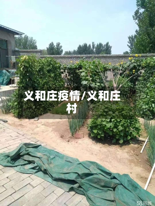义和庄疫情/义和庄村