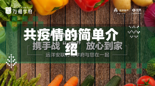 共疫情的简单介绍