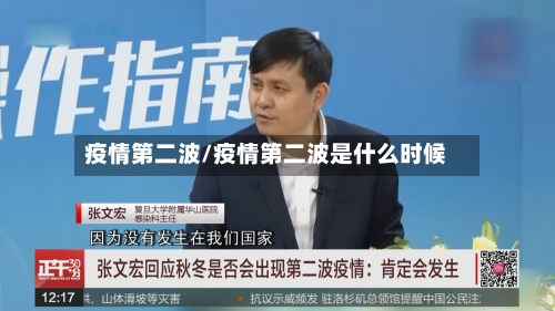 疫情第二波/疫情第二波是什么时候