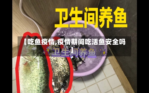 【吃鱼疫情,疫情期间吃活鱼安全吗】-第3张图片