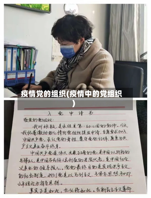疫情党的组织(疫情中的党组织)