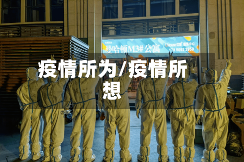 疫情所为/疫情所想