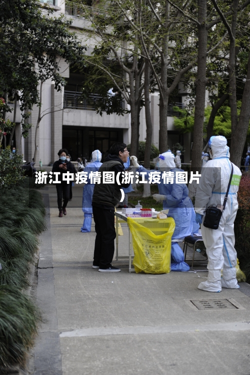 浙江中疫情图(浙江疫情图片)
