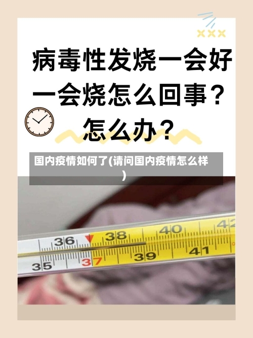 国内疫情如何了(请问国内疫情怎么样)