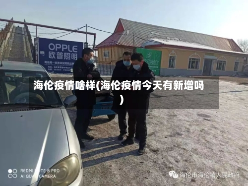 海伦疫情啥样(海伦疫情今天有新增吗)-第2张图片