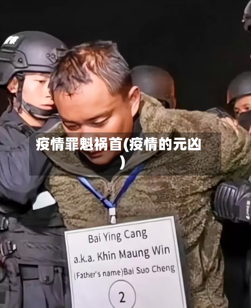 疫情罪魁祸首(疫情的元凶)
