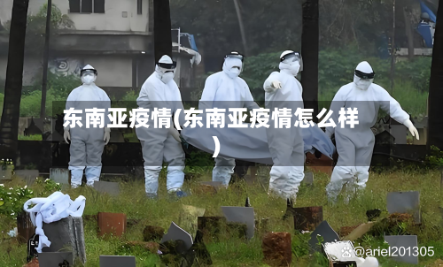 东南亚疫情(东南亚疫情怎么样)
