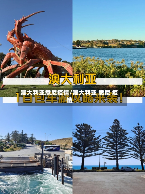 澳大利亚悉尼疫情/澳大利亚 悉尼 疫情