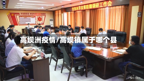 高坝洲疫情/高坝镇属于哪个县