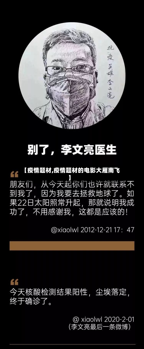 【疫情题材,疫情题材的电影大雁南飞】