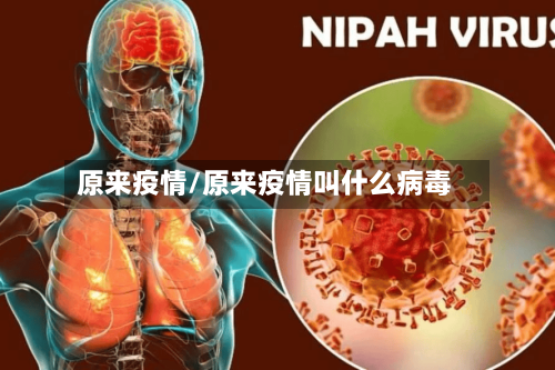 原来疫情/原来疫情叫什么病毒