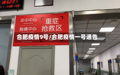 合肥疫情9号/合肥疫情一号通告-第2张图片