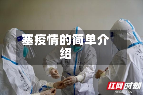 塞疫情的简单介绍