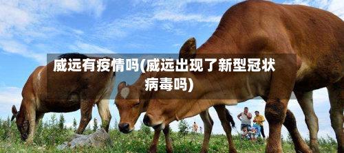 威远有疫情吗(威远出现了新型冠状病毒吗)