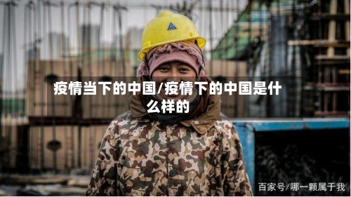疫情当下的中国/疫情下的中国是什么样的