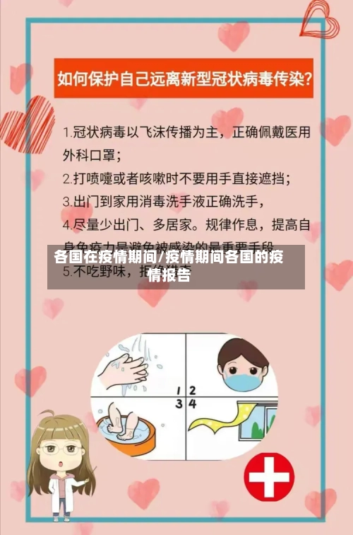 各国在疫情期间/疫情期间各国的疫情报告