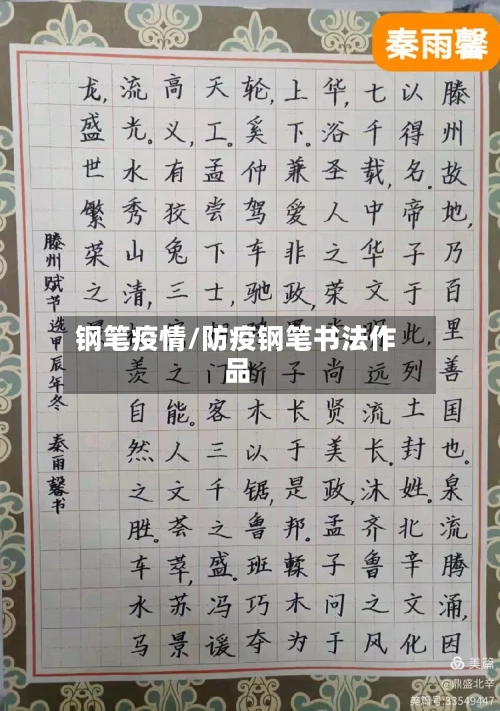 钢笔疫情/防疫钢笔书法作品