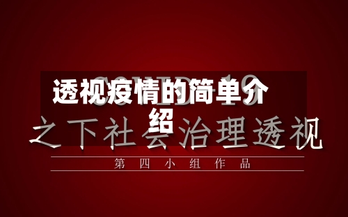 透视疫情的简单介绍