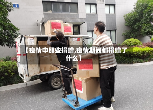 【疫情中那些捐赠,疫情期间都捐赠了什么】-第3张图片