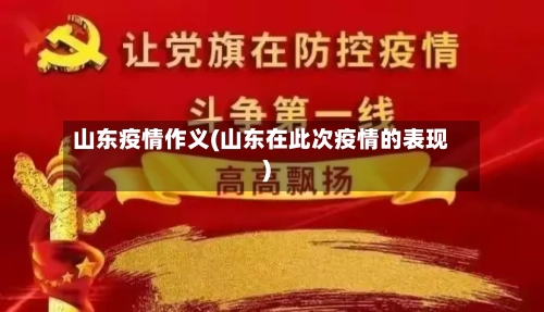 山东疫情作义(山东在此次疫情的表现)-第2张图片