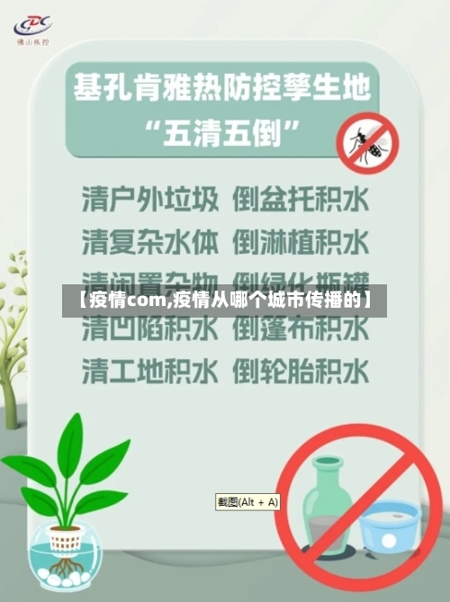 【疫情com,疫情从哪个城市传播的】-第2张图片