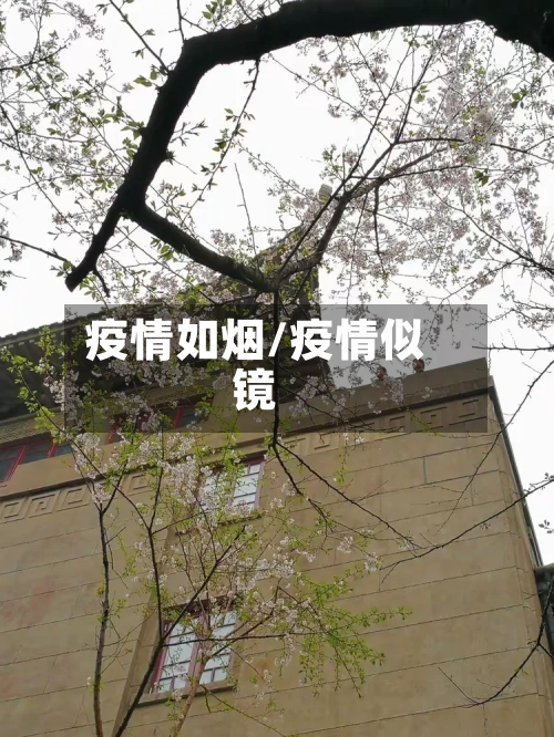 疫情如烟/疫情似镜