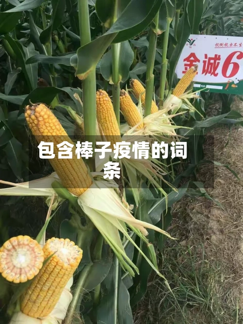 包含棒子疫情的词条