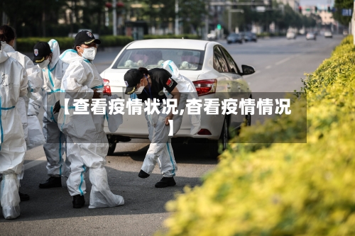【查看疫情状况,杳看疫情情况】-第3张图片