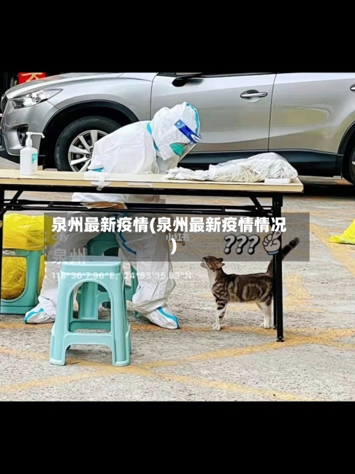 泉州最新疫情(泉州最新疫情情况)