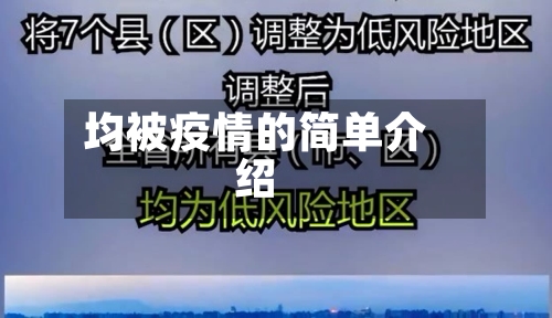 均被疫情的简单介绍-第3张图片