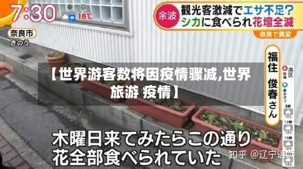 【世界游客数将因疫情骤减,世界旅游 疫情】-第2张图片
