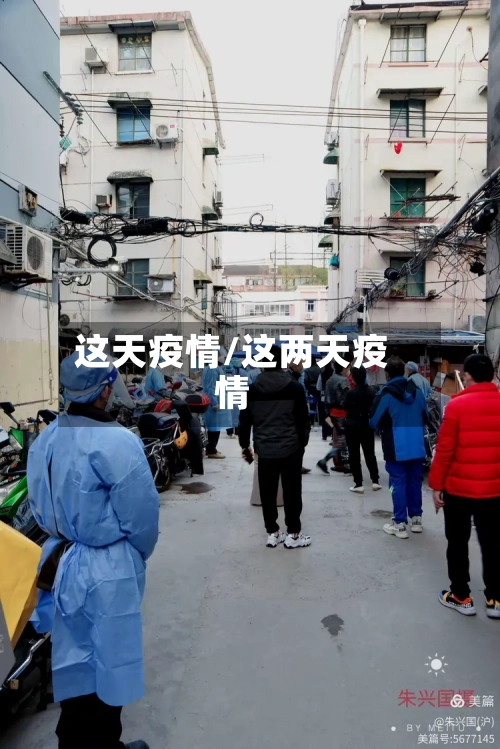 这天疫情/这两天疫情