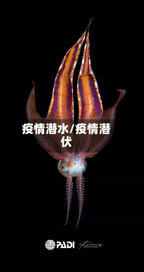 疫情潜水/疫情潜伏