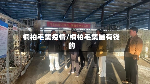 桐柏毛集疫情/桐柏毛集最有钱的-第2张图片